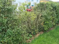 20230724_135337.webp