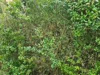 20230724_135418.webp