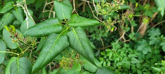 20230724_162306.jpg