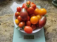 20230724_180841.webp