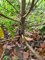 20230724_122351.webp