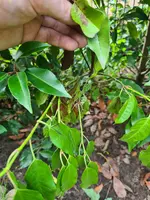 20230724_123306.webp