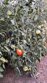 IMG_6849.jpeg