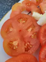 20230724_183444.webp