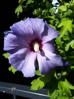 20230724_095618.webp
