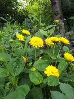 20230723_103350.webp