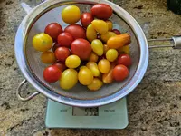 20230725_155331.webp