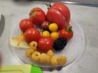 20230725_185040.webp