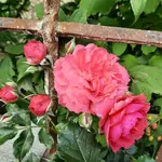 20230727_092034.webp