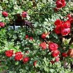 20230721_094755.webp