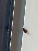IMG_7265.jpeg