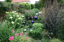 Juli         4623.webp