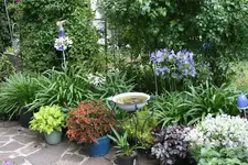 Terasse        5523.webp