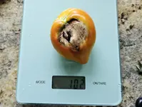 20230728_133827.jpg