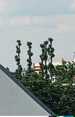 Gallery_1690546479621.jpg