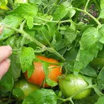 20230728_124146.webp
