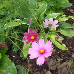 20230728_124116.webp