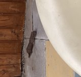 IMG_5067.jpeg