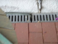 DSC03111.JPG