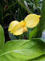 20230728_105521.jpg