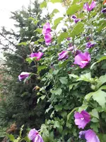20230728_190346.jpg