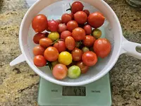 20230729_123117.webp