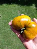 IMG_20230729_142758.jpg