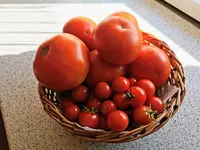 IMG_20230729_175027.webp