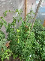 20230730_084220.webp