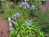 DSC03116.JPG