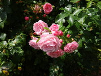 DSC03120.JPG