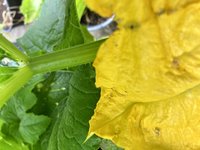 5611E68D-E6BF-4AEA-97D7-4A3A21388E26.jpeg