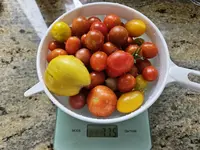 20230730_163549.webp
