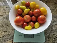 20230730_163028.webp