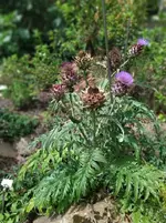 IMG_20230730_144310.webp