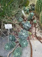 IMG_20230730_143102.webp