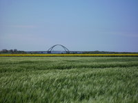 PICT0022.jpg