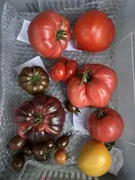 IMG_7068.jpeg