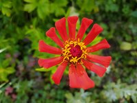 IMG_20230728_181025.jpg