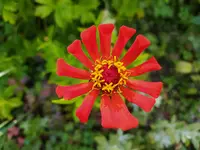 IMG_20230728_181025.webp