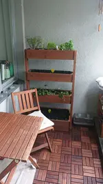 IMG-20230801-WA0019.webp