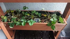 IMG-20230801-WA0017.webp