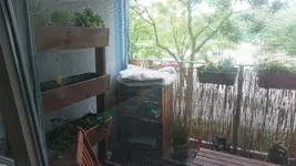 IMG-20230801-WA0014.webp