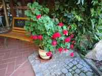 DSC03122.JPG