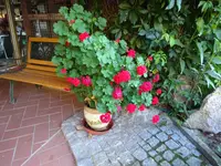DSC03122.JPG