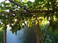 DSC03124.JPG