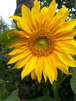 20230801_101427.jpg