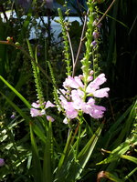 20230730_101042.jpg