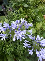 20230801_183146.webp