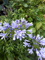 20230801_183146.jpg
